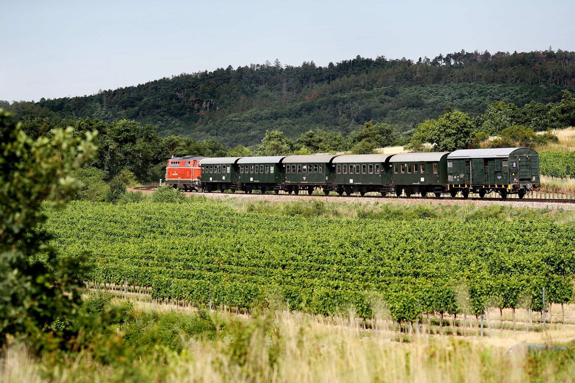Roter Zug mit mehreren grünen Waggons fährt durch eine grüne Landschaft mit Weinbergen und bewaldetem Hügel im Hintergrund