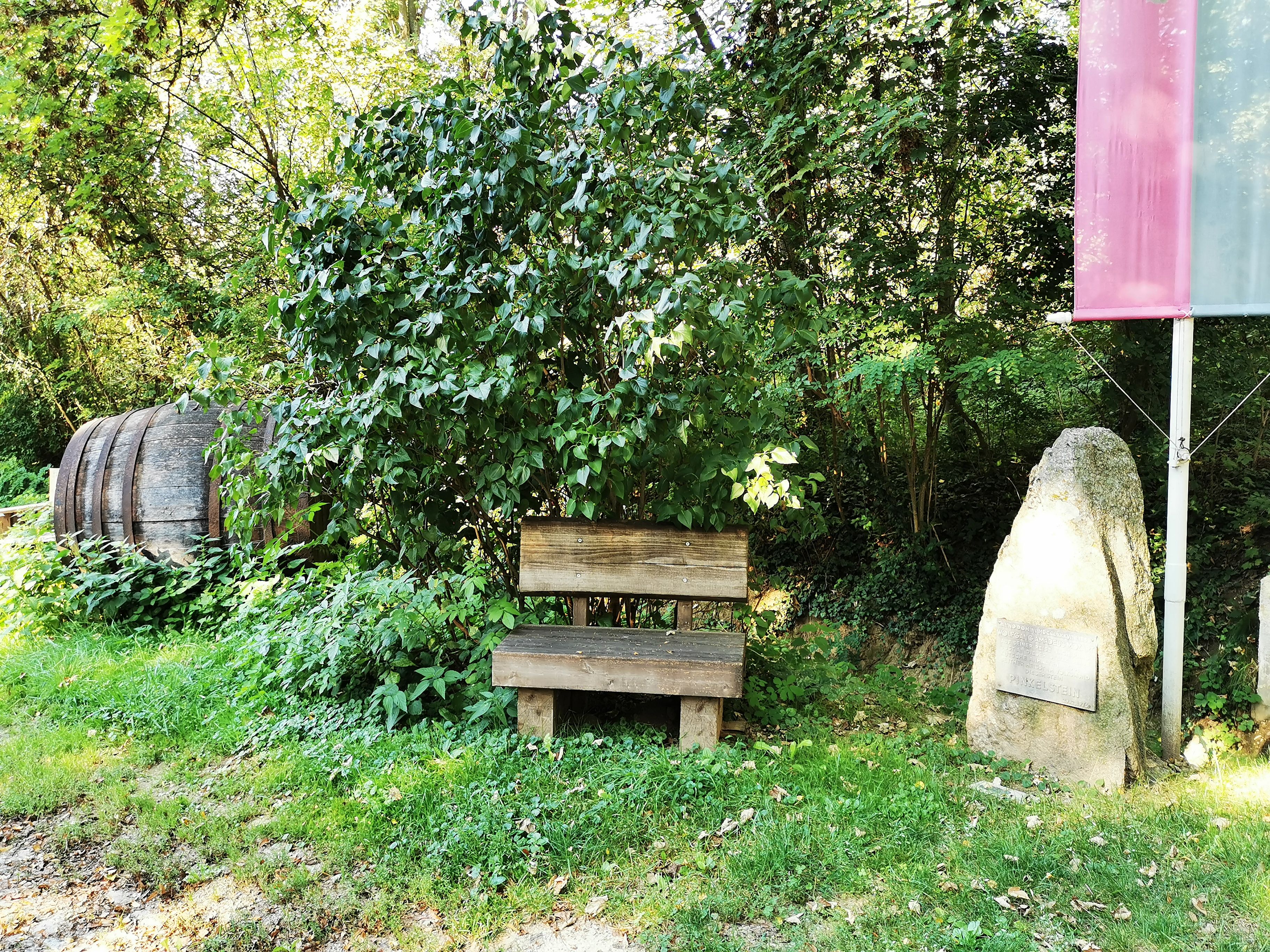 Wooden bench next to a stone with an inscription in the greenery.
