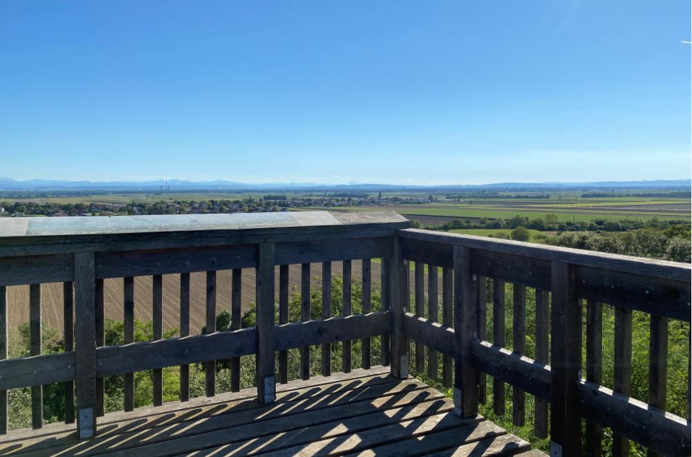 Elevated viewing platform with wooden construction and an unobstructed view over the vineyards and hilly landscape of the Wagram.
