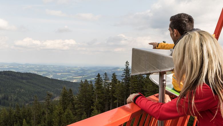 Two people on a viewing platform look out over a wooded landscape.