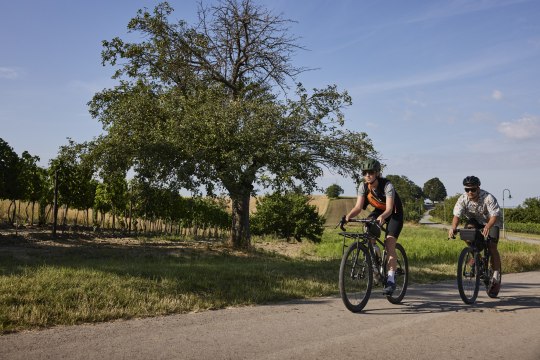 Life is like cycling. You won't fall as long as you keep pedalling., © Stefan Mayerhofer