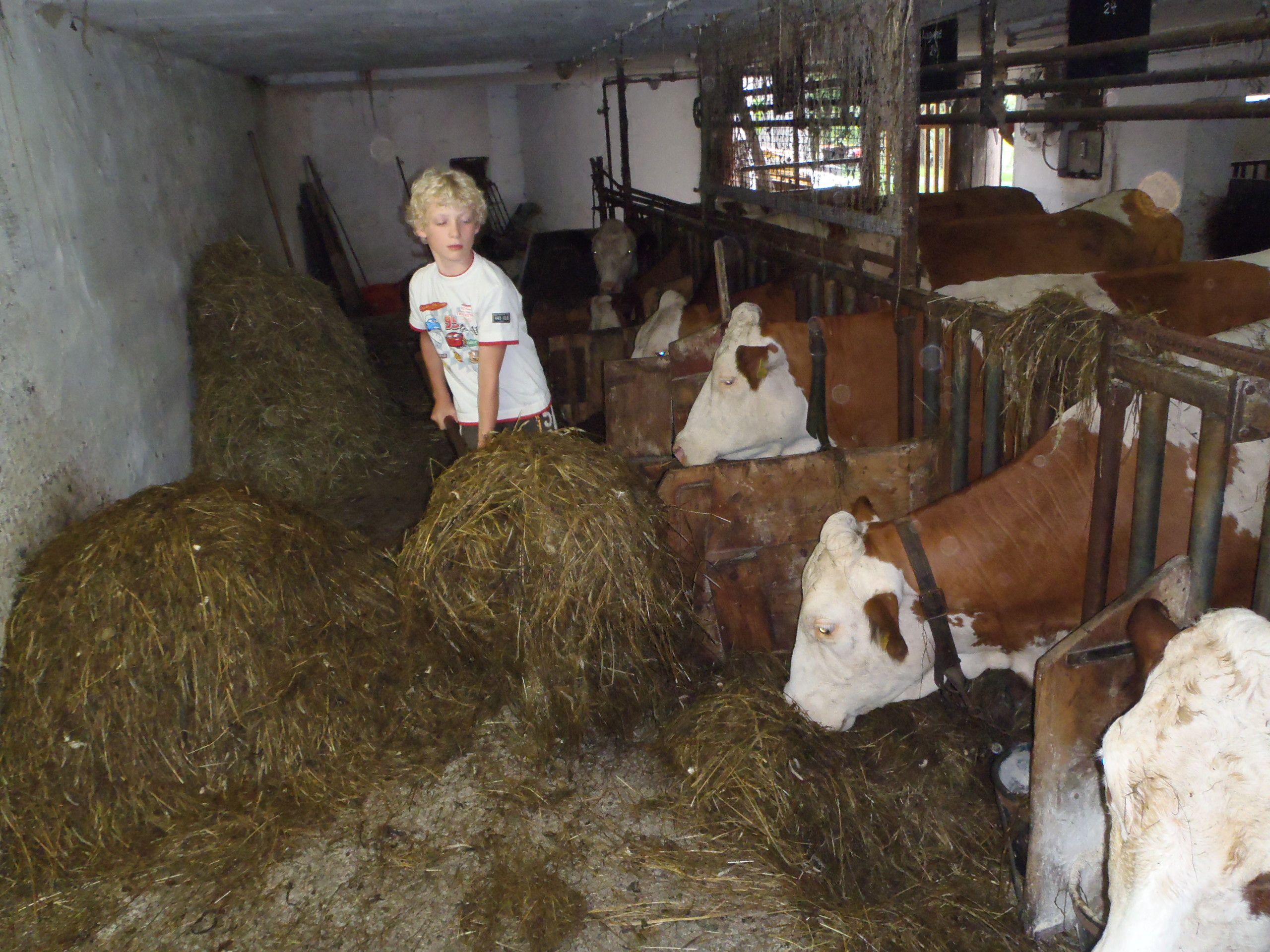 Farm Waira