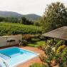 Garden with pool, pavilion and vineyards in the background.