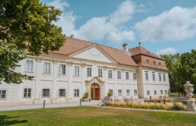 Schloss Marchegg_Störche(c)WTG_nadinechristine__ (2), © Weinviertel Tourismus / Nadine Christine