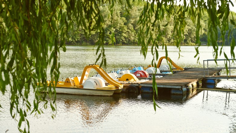 Pedal boats on a jetty on a lake, surrounded by trees.