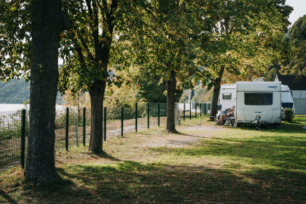 Caravan on a green pitch under trees.