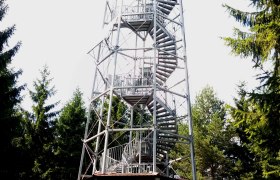 A tall metal observation tower with a spiral staircase in the forest.