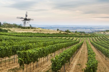 Retz windmill, © Niederösterreich-Werbung/ M. Liebert