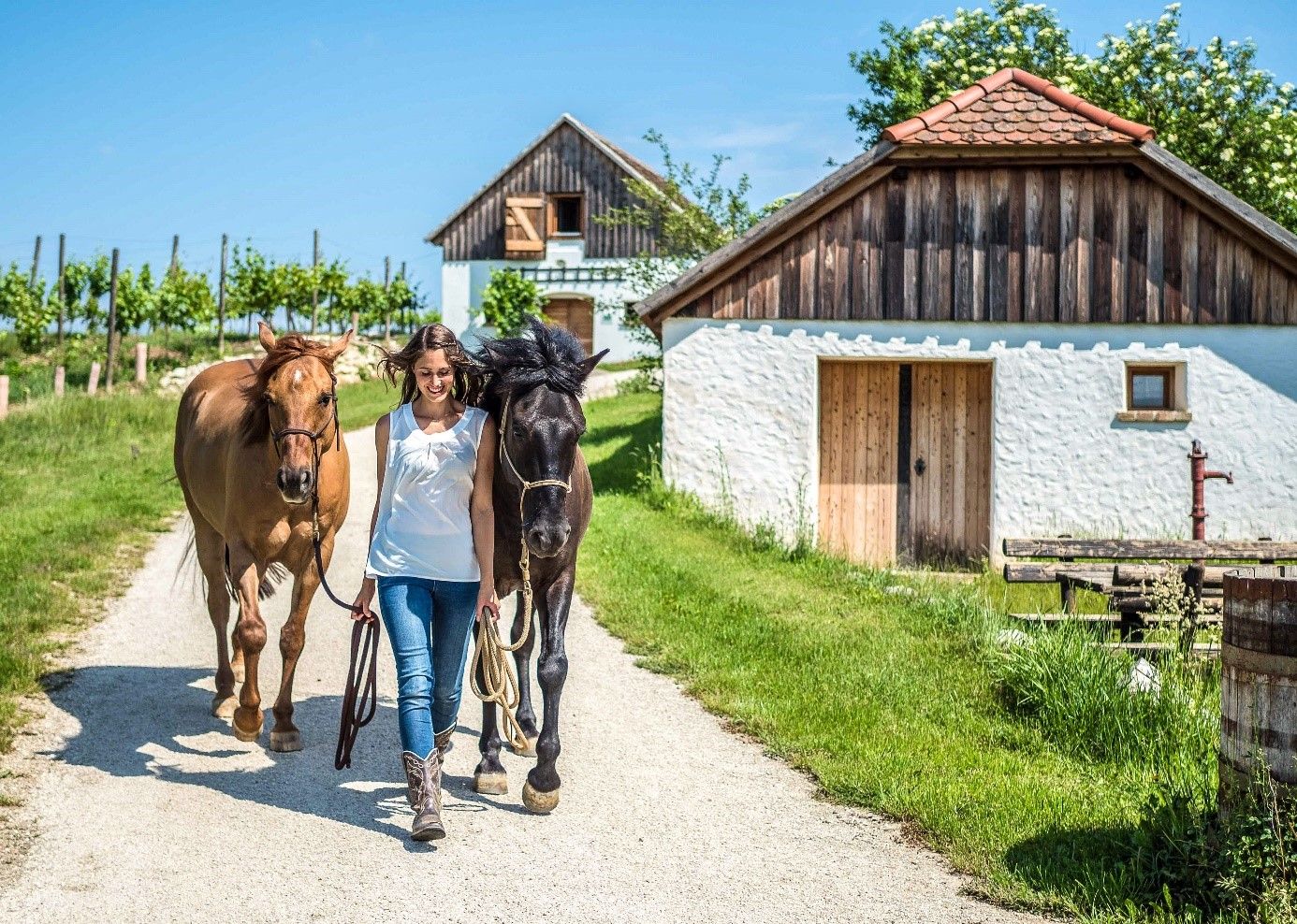 A woman leads two horses along a rural path, surrounded by green meadows and traditional buildings.