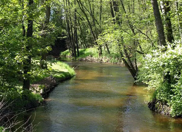 Fishing - Lainsitz - District II/1, © Stadtgemeinde Gmünd