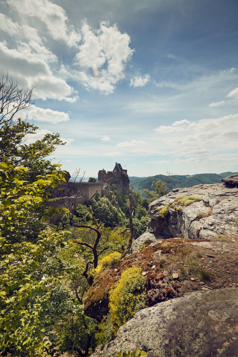 Through the unspoiled Dunkelsteinerwald., © Niederösterreich Werbung/Andreas Hofer