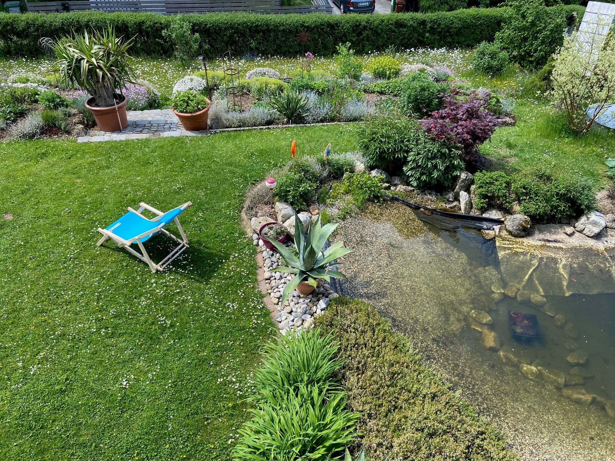 Garden with sun lounger, pond and plants.