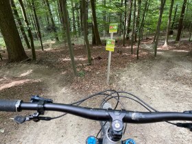 Elsbeere Singletrail, &copy; MTB-Initiative St.P&ouml;lten