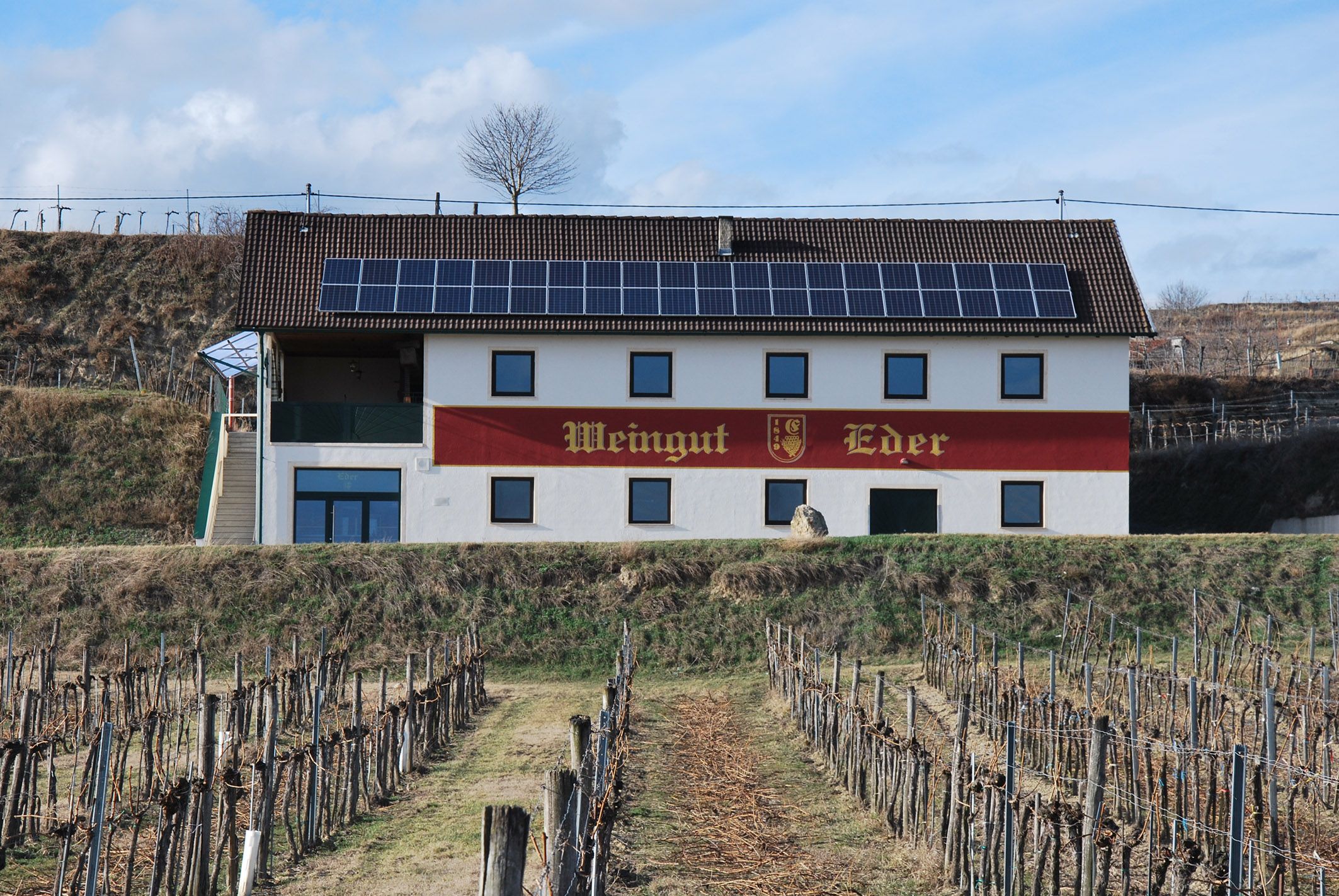 Eder winery with solar panels on the roof and vines in the foreground.