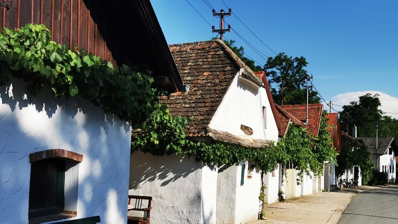 Wine cellar lane in Hadres with white houses and vines.