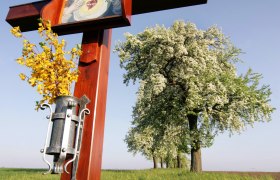 A wooden wayside cross with a picture of the Virgin Mary and yellow flowers, with blossoming trees in a meadow in the background.