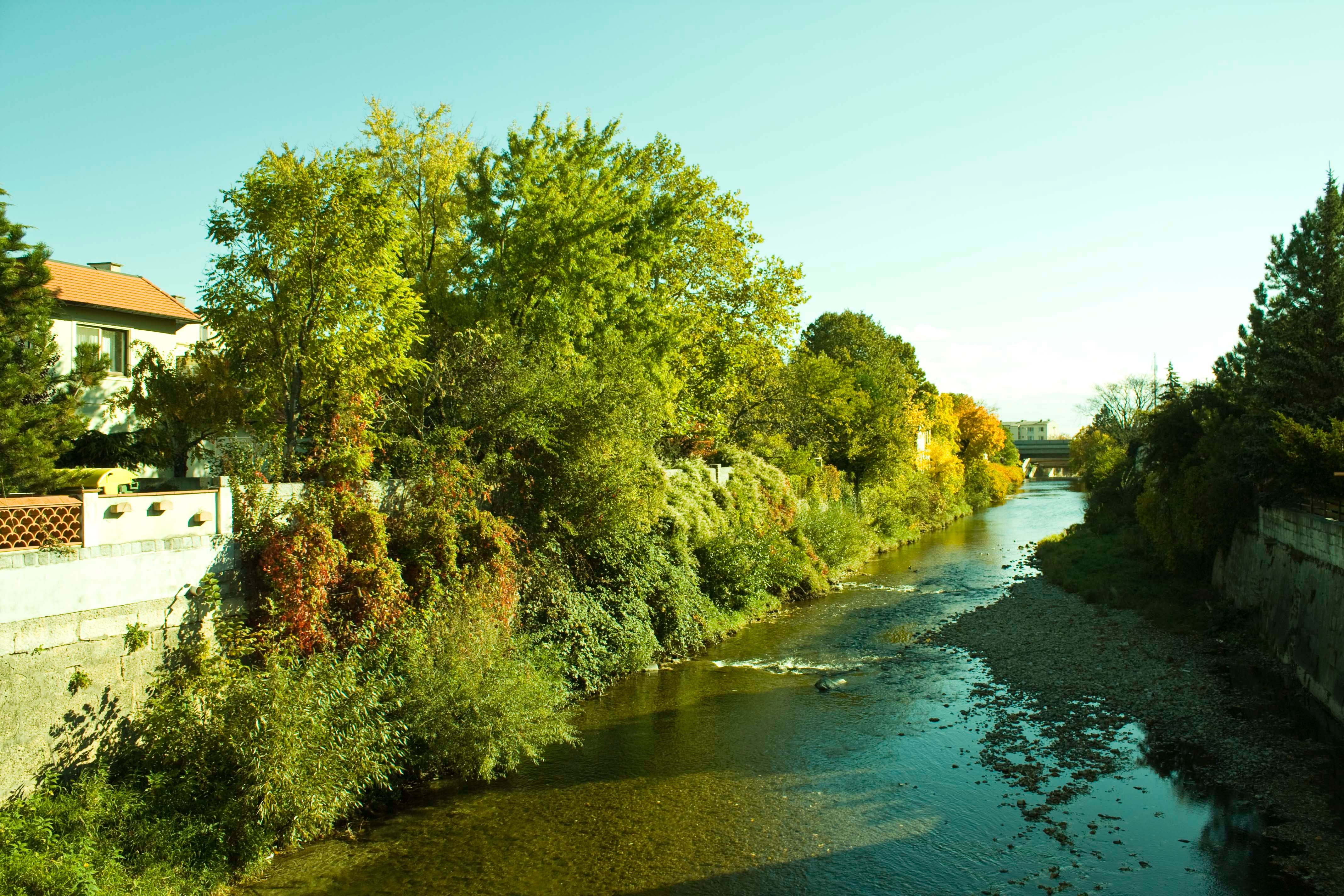 A river with clear water flows through a green, overgrown landscape with trees and a house on the bank.