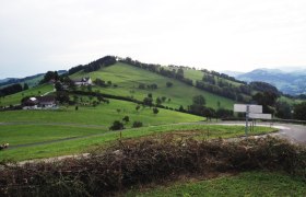 Landscape with green hills, farmhouses and a winding road.
