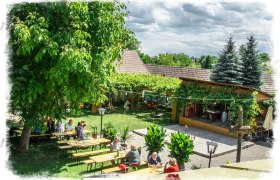 Garden in summer, &copy; Marchsteiner