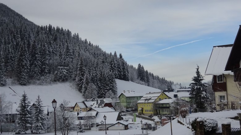 View of the village from Wolf's Revier, © Veronika Haberfellner View of the village from Wolf's Revier, © Veronika Haberfellner