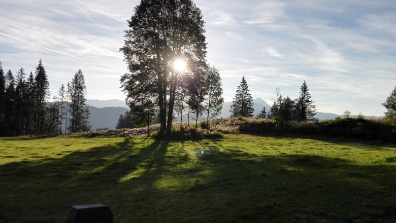 sunrise mountain meadow, © Zwickelreih
