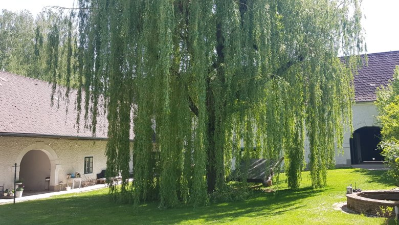 Inner courtyard, © Oliver Szilagyi