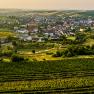 Aerial view of Herrnbaumgarten with vineyards in the foreground.