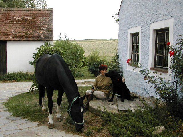 A person sits next to a black dog in front of a blue house while a black horse eats grass.
