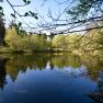Private forest pond, © SSz