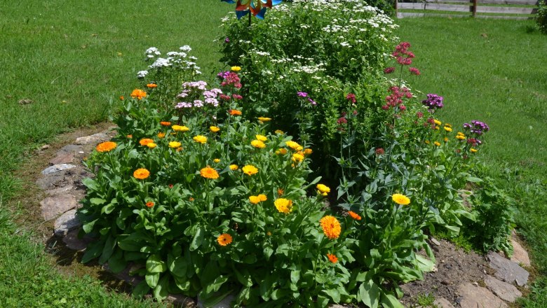 A round flower bed with colorful flowers and a windmill in the garden.