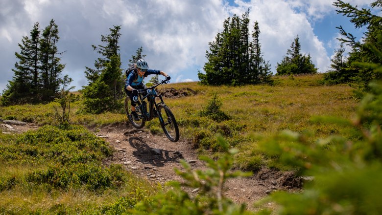 From beginner to pro, there is something for everyone on the flow trail., © Wexl Trails