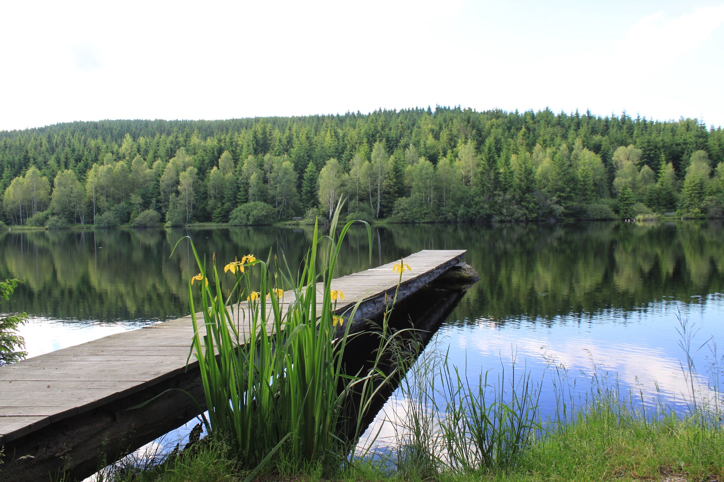 Schlesinger pond