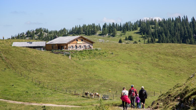 A group of hikers approaches a mountain hut on a green alpine meadow.