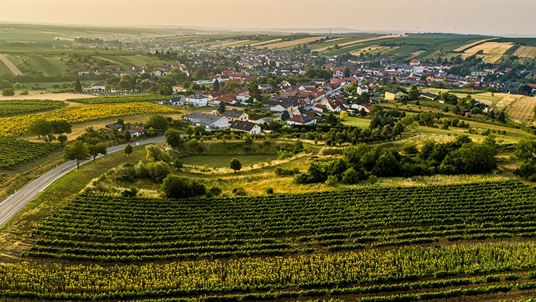 Aerial view of Herrnbaumgarten with vineyards in the foreground.