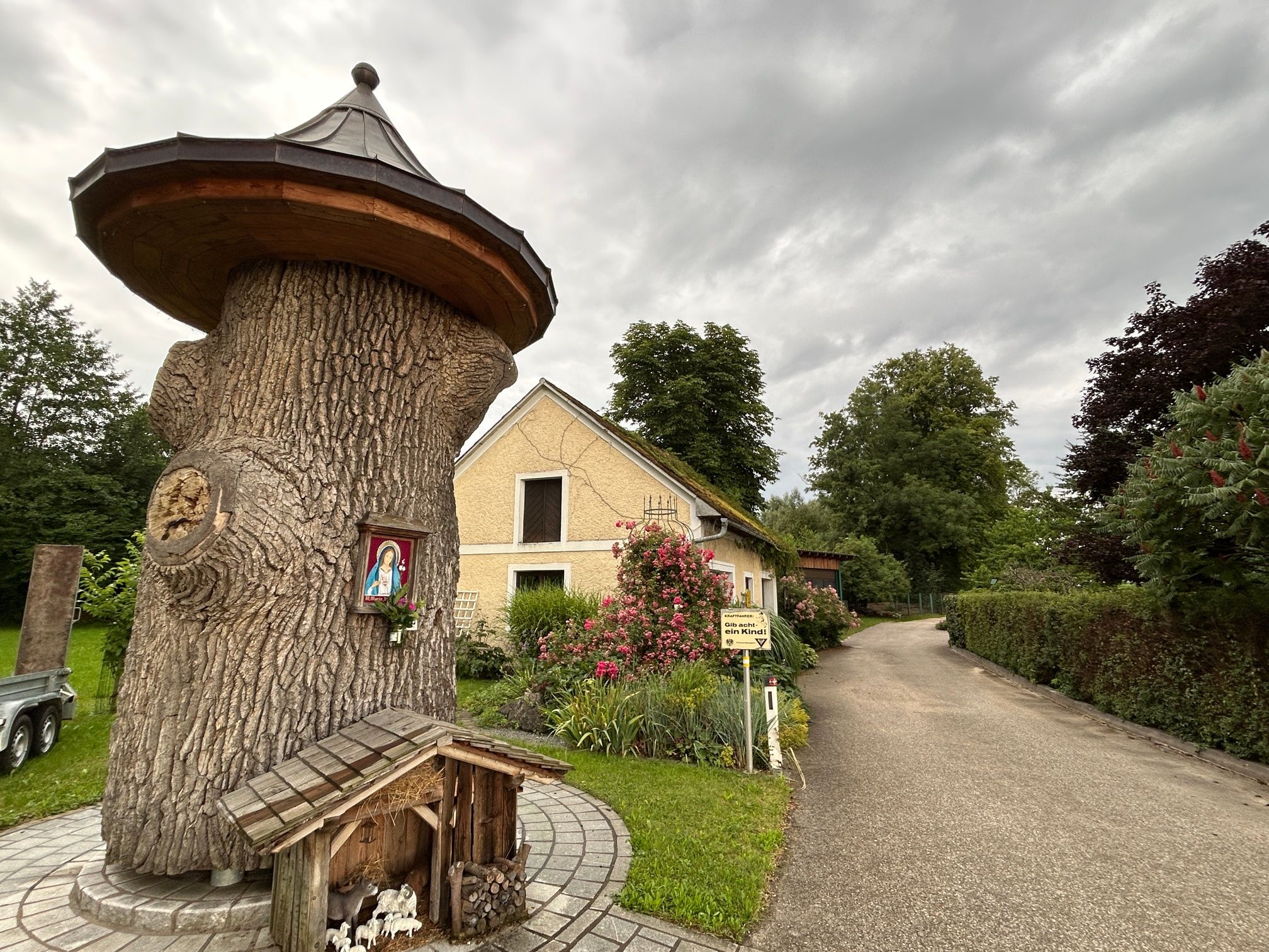 Thousand-year-old oak monument