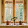 Window with two teapots and a vase of flowers on the windowsill, forest in the background.