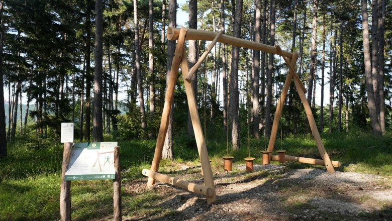 Wooden device in the forest with information board in the G&ouml;ttweig healing forest.