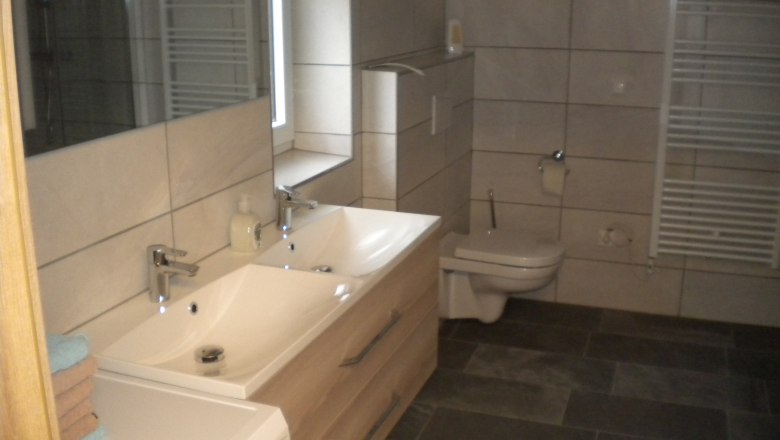 Bathroom with washbasin and WC