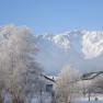 Snowy landscape with mountains in the background and trees in the foreground.