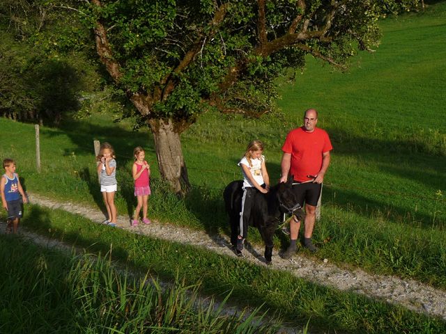 Hammerau vacation village walk