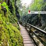 Wooden footbridge in the green Johannesbachklamm gorge with moss and plants on the rock faces.