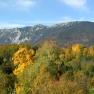 Autumn landscape with colorful trees and mountains in the background.