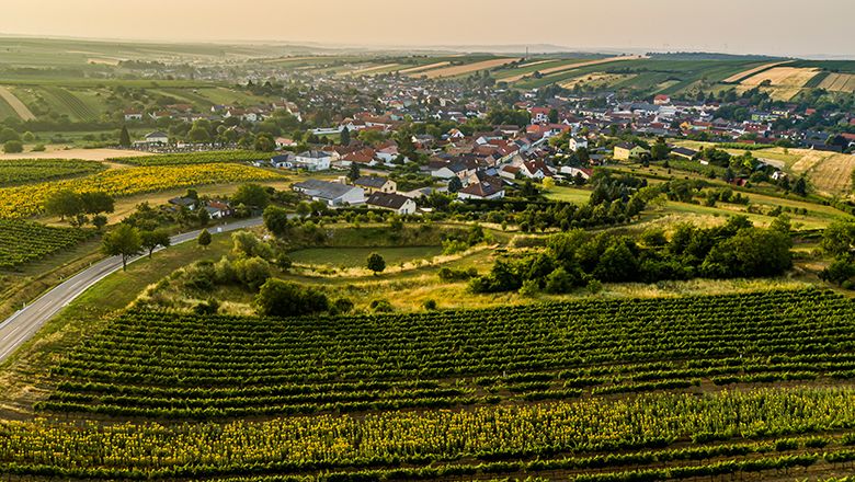 Aerial view of Herrnbaumgarten with vineyards in the foreground.