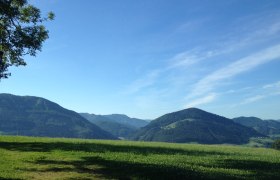 Landscape with green hills and blue sky.