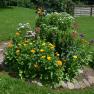 A round flower bed with colorful flowers and a windmill in the garden.