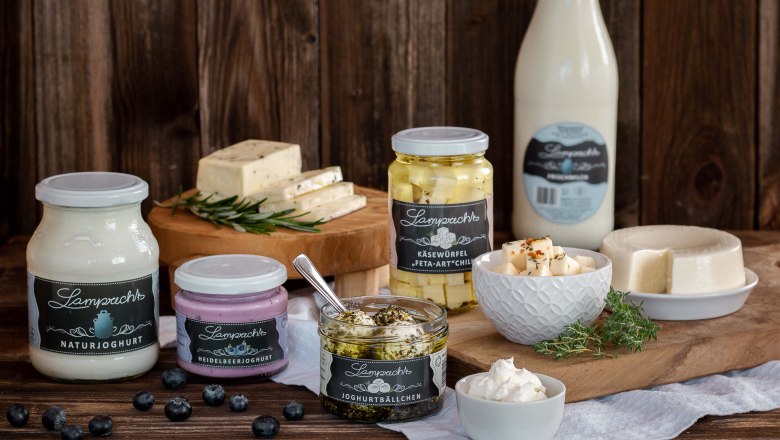 Various dairy products from Lamprecht beautifully draped on wooden boards, decorated with berries and herbs.