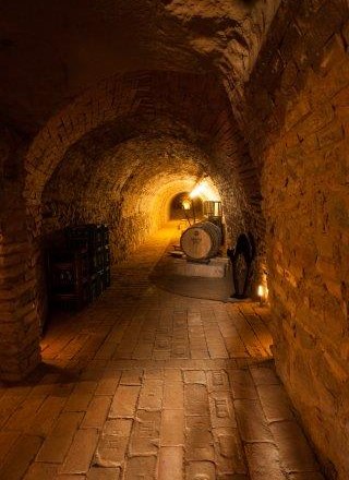 Viticulture Polsterer, &copy; Michael Kornberger