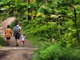 Wasserwunderweg Nr. 55a, Wandern, Familie, &copy; Waldviertel Tourismus, weinfranz