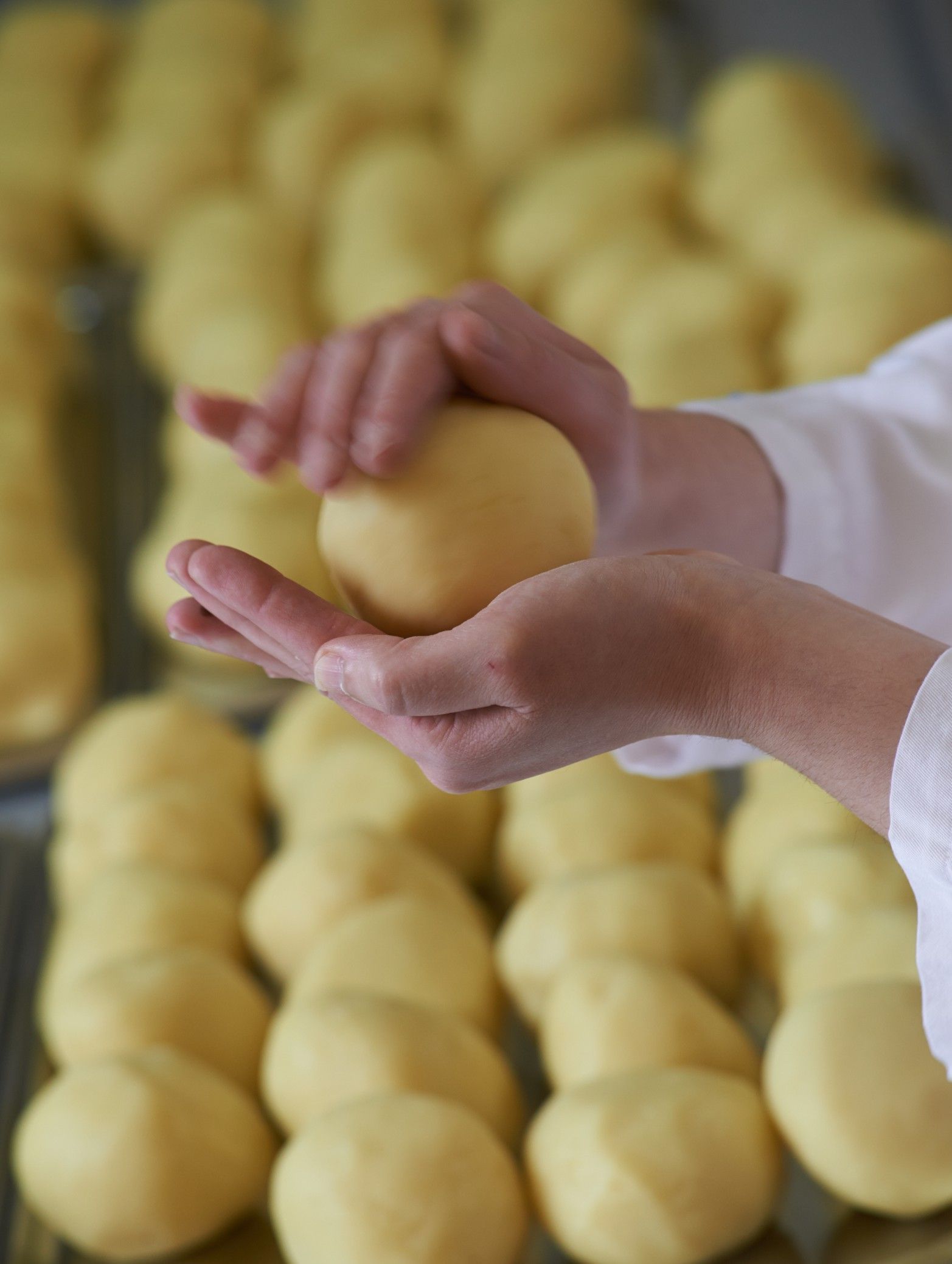 Person forming dough ball with hands, other dough balls in the background.