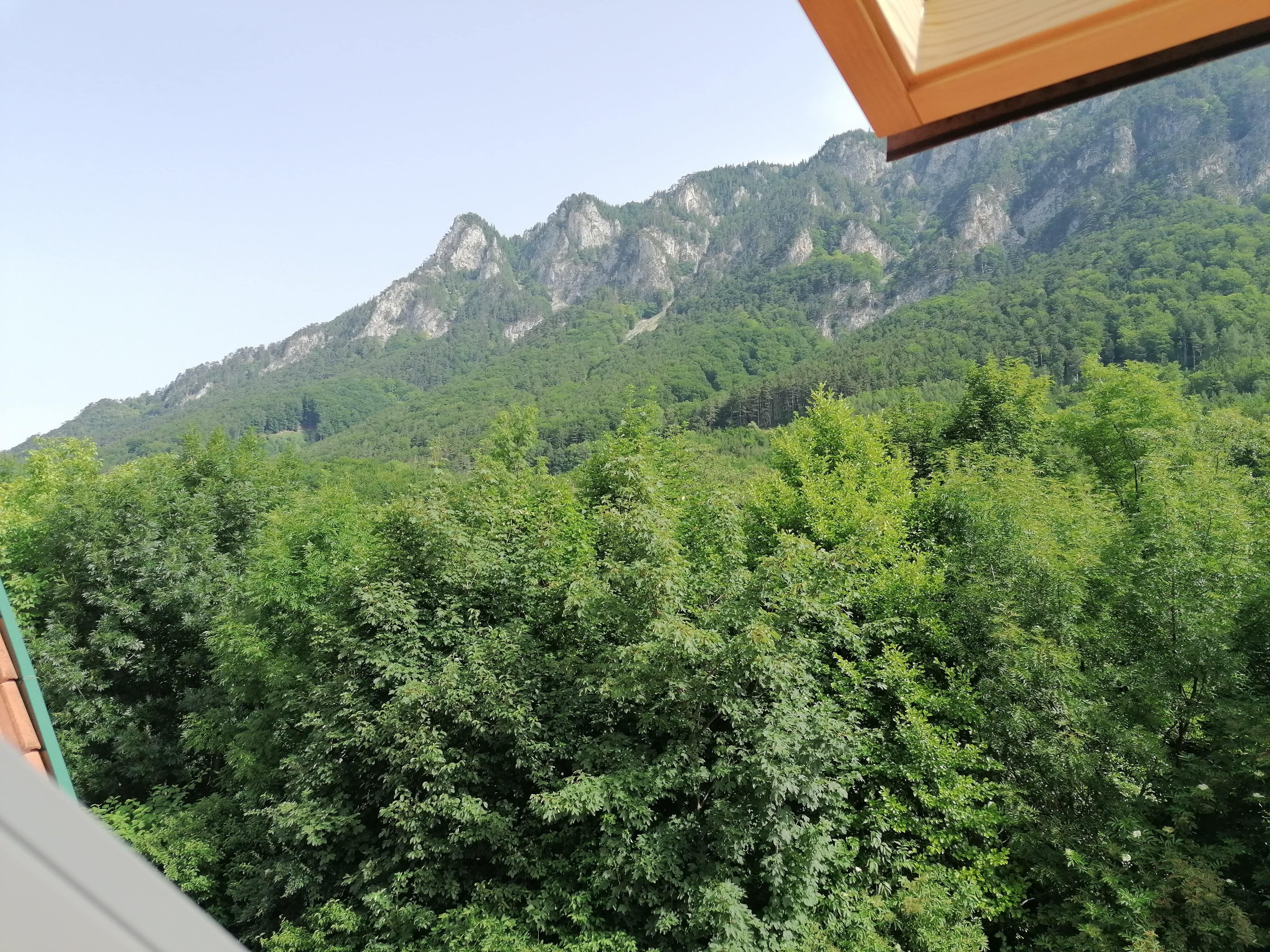 View from a window of a wooded mountain and dense forest in the foreground.